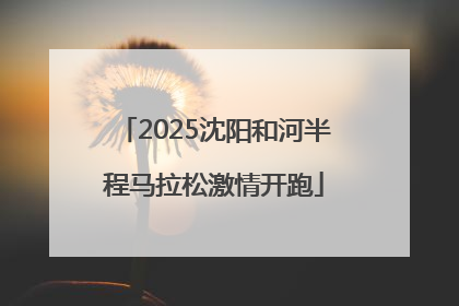 2025沈阳和河半程马拉松激情开跑