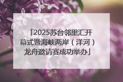 2025苏台邻里汇开幕式暨海峡两岸（洋河）龙舟邀请赛成功举办