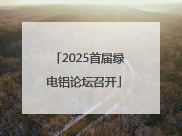2025首届绿电铝论坛召开