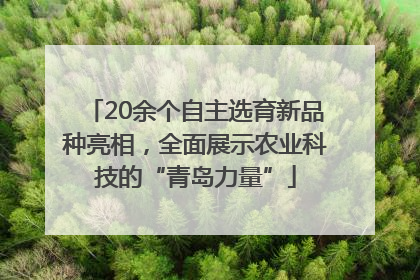 20余个自主选育新品种亮相，全面展示农业科技的“青岛力量”