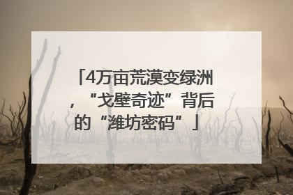 4万亩荒漠变绿洲，“戈壁奇迹”背后的“潍坊密码”