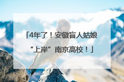 4年了！安徽盲人姑娘“上岸”南京高校！