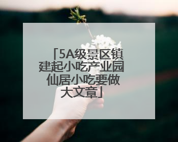 5A级景区镇建起小吃产业园 仙居小吃要做大文章