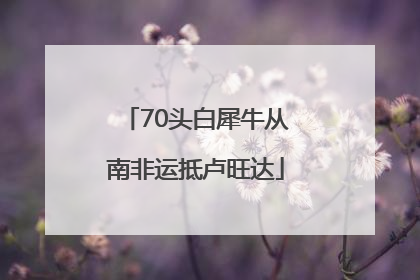 70头白犀牛从南非运抵卢旺达