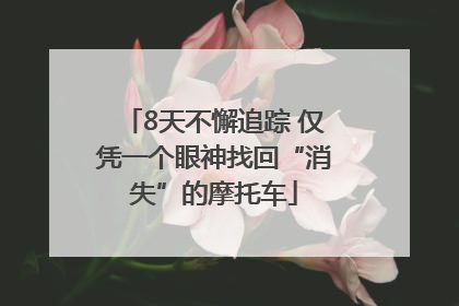8天不懈追踪 仅凭一个眼神找回“消失”的摩托车