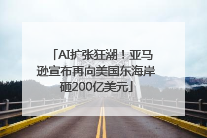 AI扩张狂潮！亚马逊宣布再向美国东海岸砸200亿美元