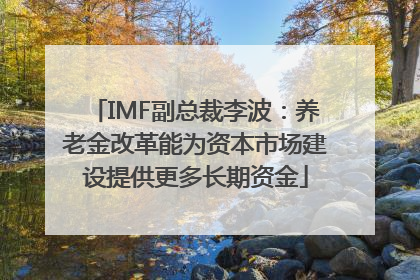 IMF副总裁李波：养老金改革能为资本市场建设提供更多长期资金