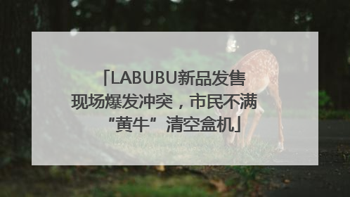 LABUBU新品发售现场爆发冲突，市民不满“黄牛”清空盒机